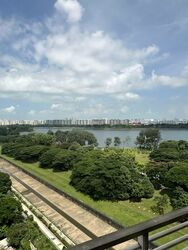 The Tropica (D18), Condominium #611995511